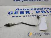 Lambdasonde Toyota Aygo B4 894650H070