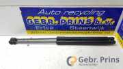 Heckklappendämpfer Ford Focus III Turnier DYB BM51N406A10AB