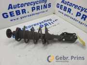 Federbein links vorne Hyundai i10 IA