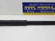 Stoßdämpfer rechts hinten Citroen C1 II 485300H070
