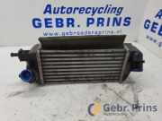 Ladeluftkühler Fiat 500 312 0501510838