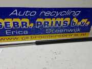 Heckklappendämpfer rechts Porsche Cayman 987 98751255103