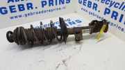 Federbein rechts vorne Fiat Panda 312, 319 00519265230