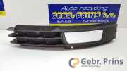 Lüftungsgitter für Stoßfänger Audi A6 4F, C6 4F0807682