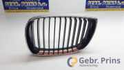 Kühlergrill links BMW 1er E87 22405910
