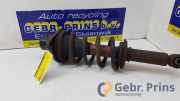 Federbein links hinten VW Passat B5.5 3B3