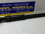 Stoßdämpfer links hinten Peugeot 308 I SW