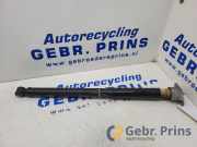 Stoßdämpfer links hinten Ford EcoSport CN1618169AA