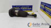 Federbein links hinten BMW 6er Gran Turismo G32 814903015533