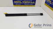 Heckklappendämpfer Ford Fiesta VII HJ, HF H1BBA406A10AE
