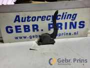 Fahrpedal VW Crafter 30-50 Kasten 2E A9063000304