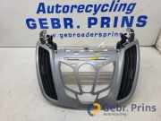 Lüftungsgitter Armaturenbrett Ford C-Max II DXA 07466001