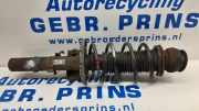 Federbein links vorne Skoda Fabia II 542 6Q0413031BJ