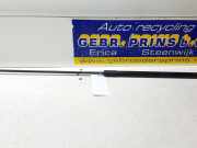 Gasdruckfeder Audi Q2 GA 81A823359