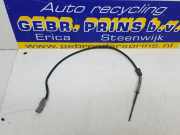 Sensor Renault Clio Grandtour IV R 226401632R