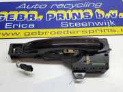 Türgriff links vorne Renault Scenic IV J9 806078862R