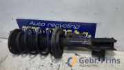 Federbein links vorne Opel Vectra C Caravan Z02 XXXXXX