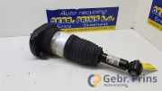 Federbein links hinten BMW 5er Touring G31 814903014874