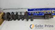 Federbein rechts hinten Dacia Duster HS