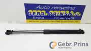 Heckklappendämpfer Audi A3 Sportback 8V 8V482755202S