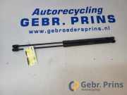 Heckklappendämpfer Volvo V40 Schrägheck 525, 526 31395607