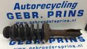 Federbein links vorne VW Caddy II Kasten 9KVF XXXXX