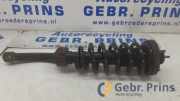 Federbein links vorne Ssangyong Rexton W 4431008C60