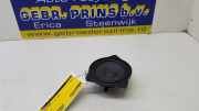 Lautsprecher links Tesla Model 3 5YJ3 107974200A
