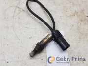 Lambdasonde Fiat 500 312 55214916