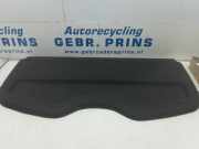 Hutablage Renault Clio III BR0/1, CR0/1 0000XXX