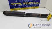 Stoßdämpfer links hinten Toyota Verso R2 485300F040
