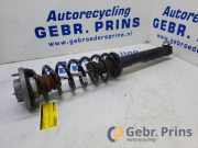 Federbein links hinten BMW 5er F10 105413