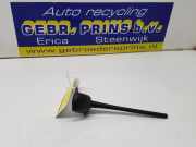 Antenne Dach Toyota RAV 4 IV A4