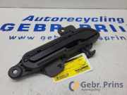 Türgriff rechts hinten Tesla Model Y 5YJY 1510114