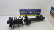 Federbein rechts vorne Mercedes-Benz C-Klasse W204 A2043200513