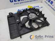 Elektrolüfter Peugeot 508 I SW 8E 966287238000