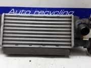 Ladeluftkühler Fiat Panda 312, 319 1881221589