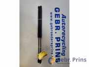 Heckklappendämpfer VW Polo VI AW 2G6827550B