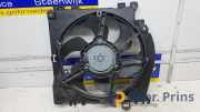 Elektrolüfter Renault Clio III BR0/1, CR0/1 8200966248