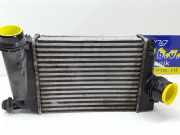 Ladeluftkühler Nissan Qashqai II J11 T50458B