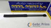 Heckklappendämpfer VW Polo VI AW 2G6827550B