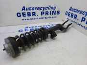 Federbein links vorne BMW 5er F10 3131678936101