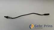 Lambdasonde Fiat Punto 199 55214916