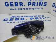 Türgriff links hinten VW Tiguan II AD 510837811H