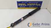 Stoßdämpfer rechts hinten Toyota Verso S P12 4853052F30