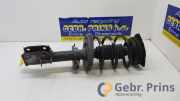 Federbein links vorne Renault Scenic III JZ 543020017R