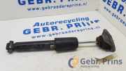 Stoßdämpfer links hinten BMW 3er Touring F31 14941510