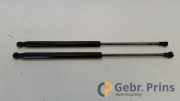 Heckklappendämpfer Fiat Punto 199 0229310350N