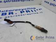 Lambdasonde Ford Focus IV Turnier HP JX619Y460EA