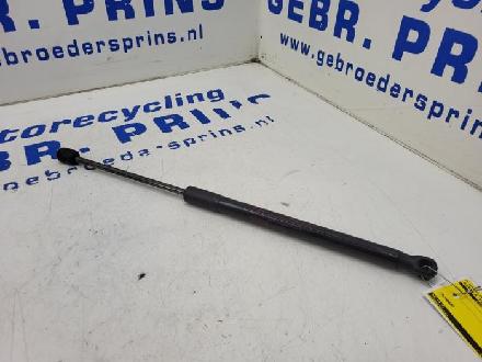 Heckklappendämpfer links Hyundai i10 IA 81770B9010